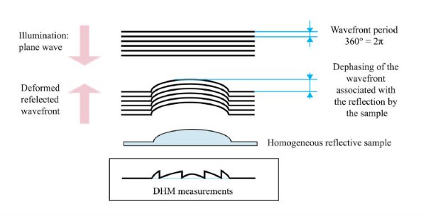 Phase Microscopy Profilometry DHM principle reflection